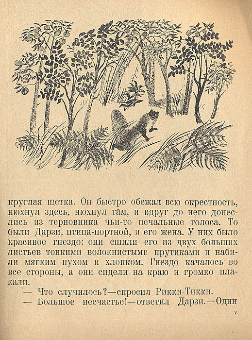 Рикки-Тикки-Тави — купить с доставкой по выгодным ценам в интернет ...