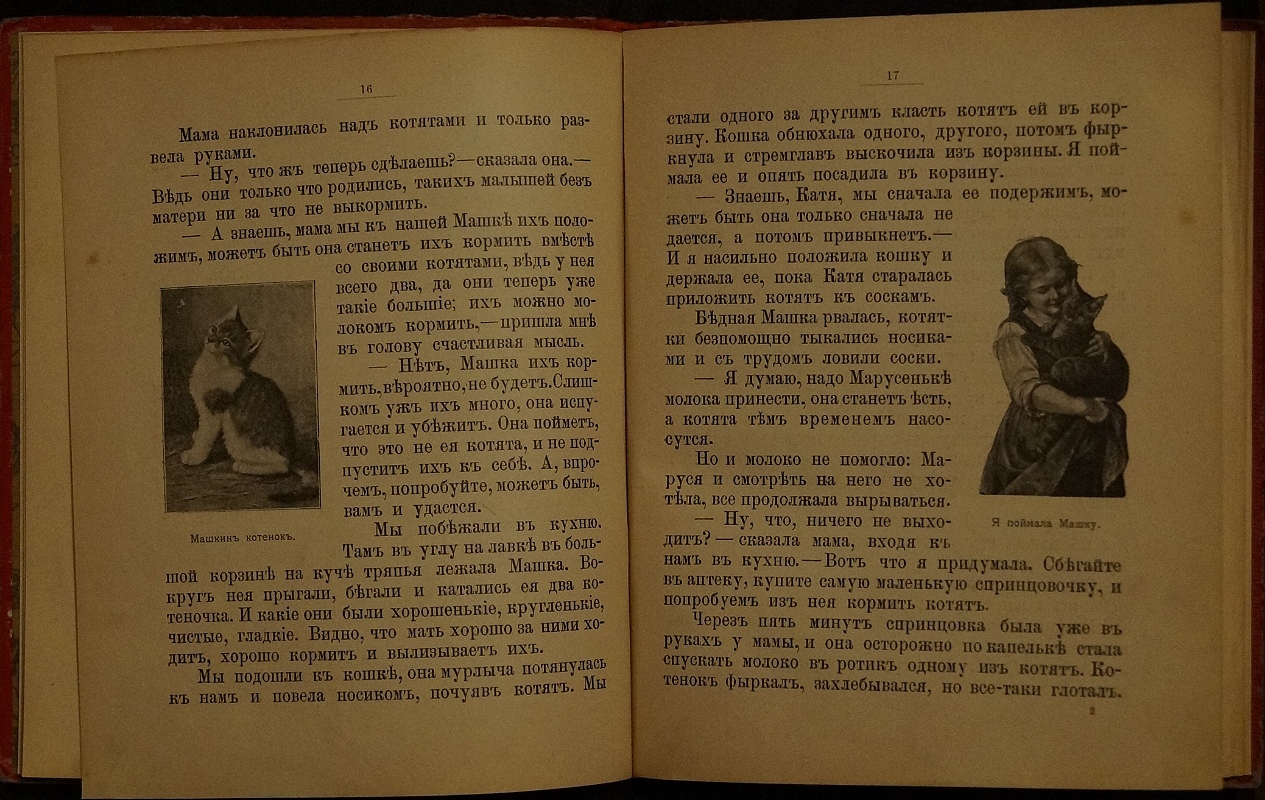 Горбунова Е. Наши зверьки. — купить с доставкой по выгодным ценам в  интернет-магазине Книганика