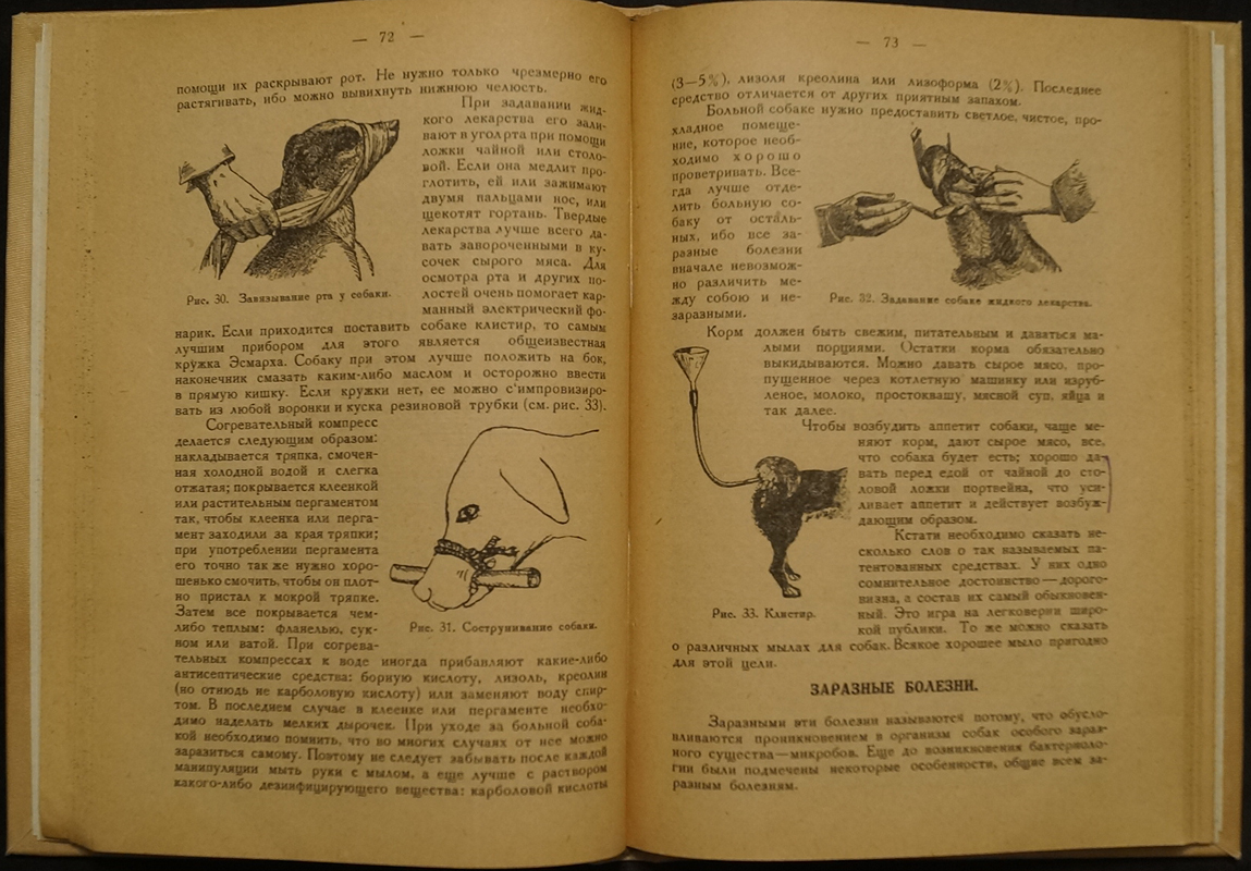 Михайлов В.С., проф. Первая помощь заболевшей собаке. — купить с доставкой  по выгодным ценам в интернет-магазине Книганика