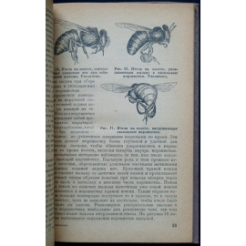 Гусельников А.Л. Жизнь пчелиной семьи.