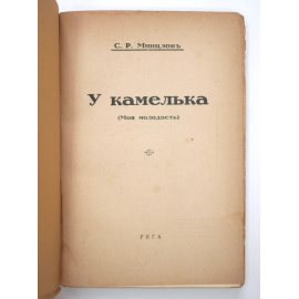 У камелька: (Моя молодость).