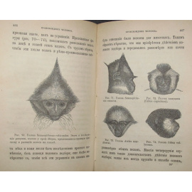 Дарвин Чарльз. Происхождение человека и половой отбор. Выпуск третий.