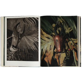 Искусство далеких стран. Египет. Африка. Америка. Океания. Индонезия