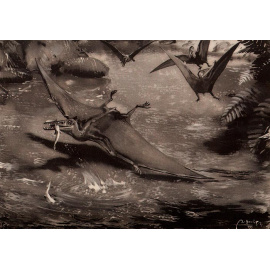 По путям развития жизни