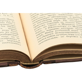 Журнал "Шахматный журнал. Ежемесячное издание" за 1900 год (комплект из 12 журналов в конволюте)