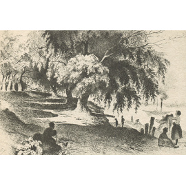 Т. Шевченко. Стихи и поэмы