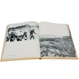 Dzintarzeme Latvija книга