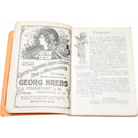 Illustrierter Fuehrer durch Frankfurt am Main und Umgebung книга