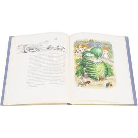 The Adventures of Dunno and His Friends/Приключения Незнайки и его друзей