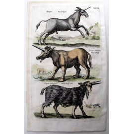 Единороги. Серия "Бестиарий Мериана". Маттеус Мериан. Гравюра на меди, акварель. Голландия, Амстердам, Historia Naturalis, 1657 год