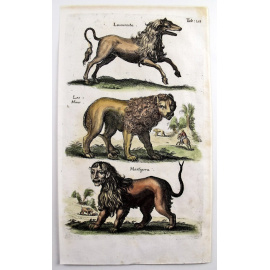 Мантикора, Левкрота, Лев. Серия "Бестиарий Мериана". Маттеус Мериан. Гравюра на меди, акварель. Голландия, Амстердам, Historia Naturalis, 1657 год