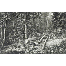 И. Шишкин. В лесу. Офорт (вторая половина XIX века), Россия