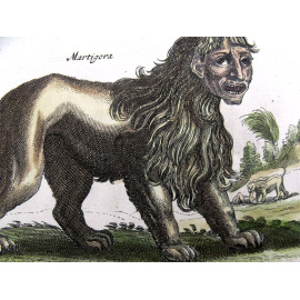 Левкрота, Лев, Мантикора. Серия "Бестиарий Мериана". Лист № 52. Маттеус Мериан. Гравюра на меди, акварель. Голландия, Амстердам, Historia Naturalis, 16