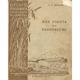Моя работа на свиноферме