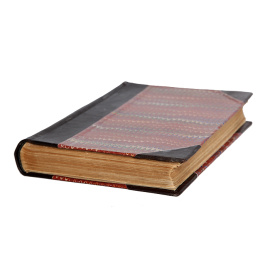 Всемирный путешественник. Путешествия Н. М. Пржевальского