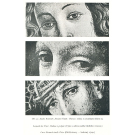 Anatomie pro vytvarniky книга