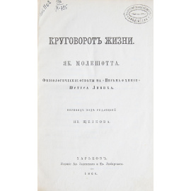 Круговорот жизни