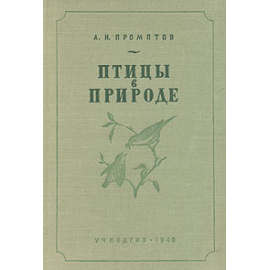 Птицы в природе