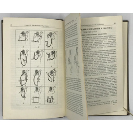 Фехтование.