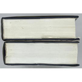 А.А.Фет и его литературное окружение. В 2-х книгах.