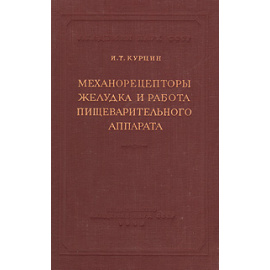 Механорецепторы желудка и работа пищеварительного аппарата