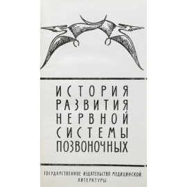 История развития нервной системы позвоночных