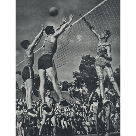 Спортивная слава. Картинные документы славного десятилетия. 1948-1957