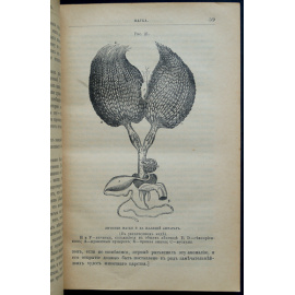 Лангстрот Л. Л. Пчела и Улей.