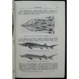 Берг Л.С. Рыбы пресных вод СССР и сопредельных стран. В трех частях