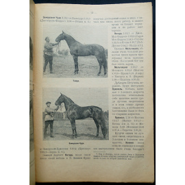 Коневодство и Коннозаводство. № 910 (1) - № 1029 (51)