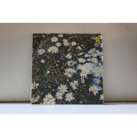 Эдуард Хиль  Пока не поздно.Середина лета.Песня левши.и др