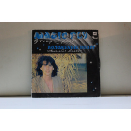 Ансамбль Спейс  Волшебный полет