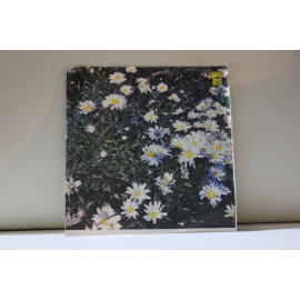 сборник  Эстрада социалистических стран