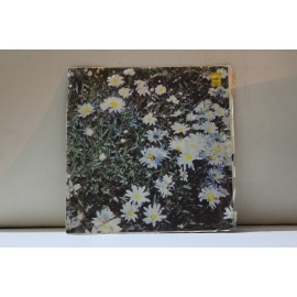 ВИА Ариэль  Зимы и весны.Где ждет любовь. И другие