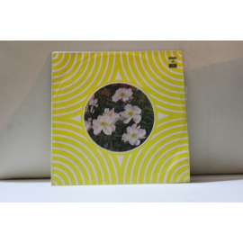 Мелодии и ритмы II