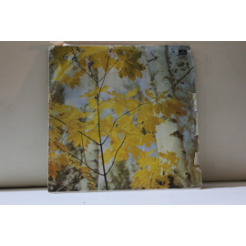 Альфия Афзалова  Татарские песни