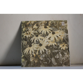 сборник  Мелодии и песни Анатолия Кальварского