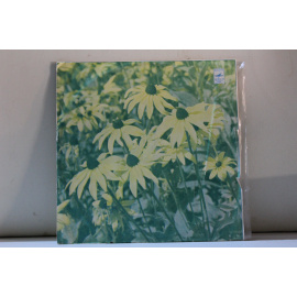 сборник  Валентина Толкунова Все это было не со мной, Поговори со мною, мама, Деревянные лошадки