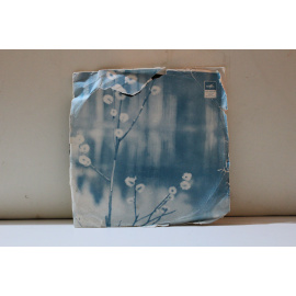 сборник  Инстр.анс.под упр. В.Тартаковского Нам весело/Инстр.анс.под упр. В.Тартаковского Парень из Джакарты