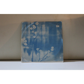 сборник  Всем, кто любит песню (№17) Дрозды (В.Шаинский-С.Островой)-Г.Белов/Мгновения (М.Таривердиев-Р.Рождественский)-И.Кобзон и др.