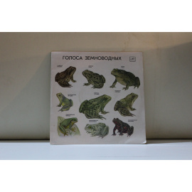 сборник  Для учащихся средней школы  Голоса земноводных 