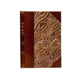 Витевский В.И. Неплюев И.И - верный слуга своего отечества, основатель Оренбурга и устроитель Оренбургского края.