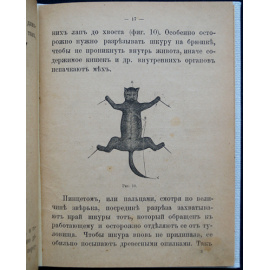 Головин А. Полная школа таксидермии. Набивка чучел разных животных и птиц