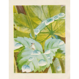 Необыкновенные приключения Карика и Вали