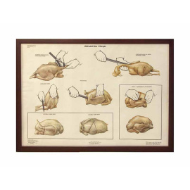 Костюк В.Д. Плакат "Обработка птицы"