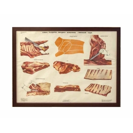 Костюк В.Д. Плакат "Схема разделки передней четвертины говяжьей туши"