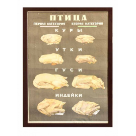 Громыко И.Е. Плакат `Министерство торговли ссср птица` (первая вторая категория).