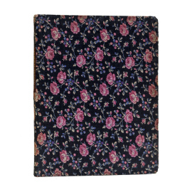 Бенуа А. и Эрнст С. Остроумова-Лебедева.