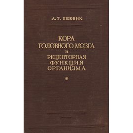Кора головного мозга и рецепторная функция организма