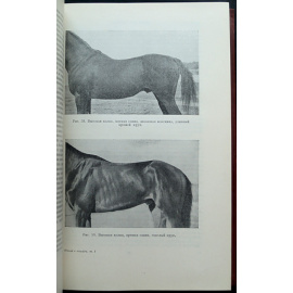 Буденный С.М. Книга о лошади. Том I-II